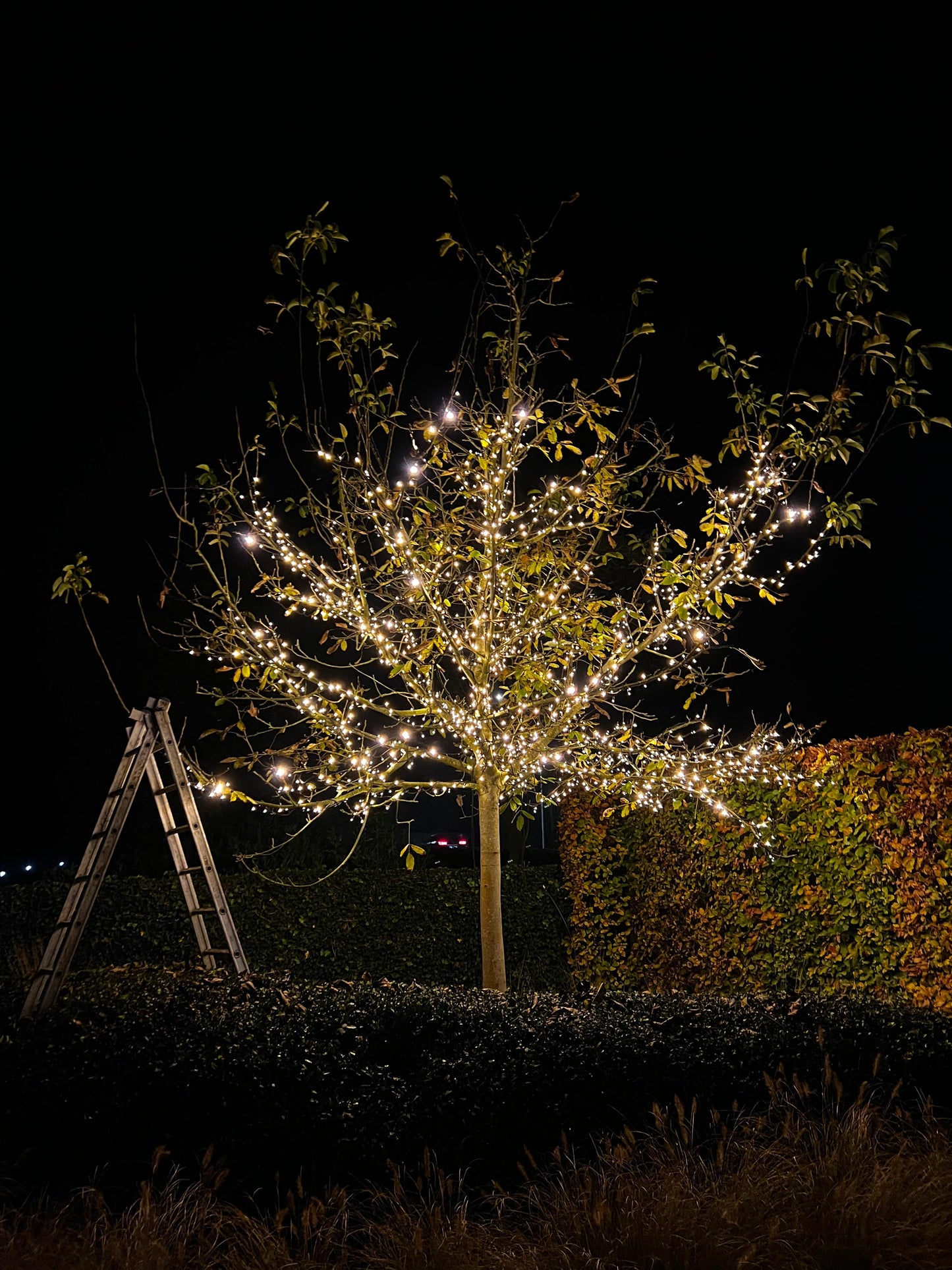 Koppelbare kerstverlichting · Klassiek warm wit · 10m · 100 LED · IP67